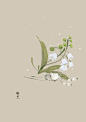 五月份的生日花1~16号-artistic青尘_artistic青尘,生日花,唯美,小清新