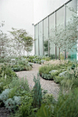 Heterotopia Garden by Motif Planning & Design Consultants – mooool