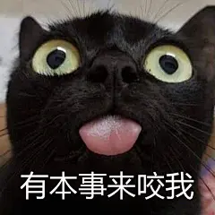 “打不到我吧，哈哈哈哈哈哈~！！”    #表情包#