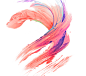 webp