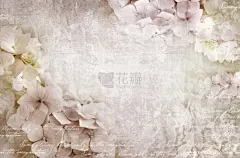 贺卡,古老的,生日,节日,请柬,明信片,婚礼,八仙花属,茶水间,花