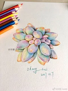 来一颗多肉，换了纸彩铅表现果然不一样，再把彩铅也换了就完美了，哈哈。临摹@溶萱 继续加油️ ​​​​