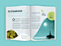 petrobras editorial magazine timeline graphics print