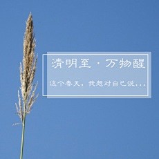 朋友圈封面、菜单、酒水单，更多模版就在“...