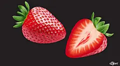 Manjoor Estate饮料包装插图-商业插画案例 - CGArt