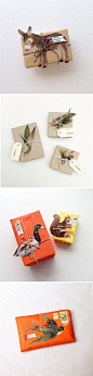 Nature gift wrap@北坤人素材