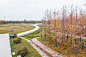西咸沙河廊道生态湿地运动健康公园，陕西 / 阿拓拉斯（北京）规划设计有限公司 : 符合城市未来的多样化景观环境