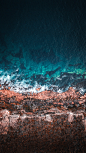 Cyan photo by Will Turner (@turner_imagery) on Unsplash : Download this photo in Manly, Australia by Will Turner (@turner_imagery)