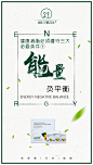 微商/茶小雄/减肥瘦身/平面海报