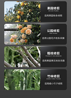 鸢相离采集到素材