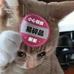 猫猫表情包｜胖罐子胖摔_11