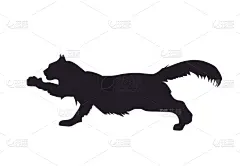 猫,爪子,绘画插图,可爱的,哺乳纲,现代,自然美,动物,坐,剪影