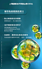细胞