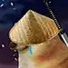 土包子1号