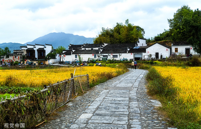 乡村 道路
