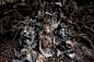 surreal-photography-kirsty-mitchell-25
