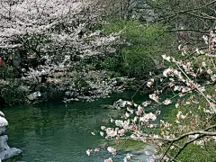 太子湾公园风光桌面高清壁纸桌面壁纸3