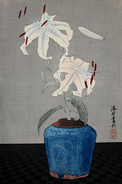 大薸采集到绘画，花