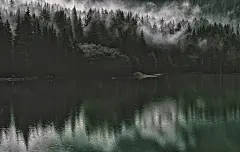 森林地球上美丽的自然风景壁纸图片