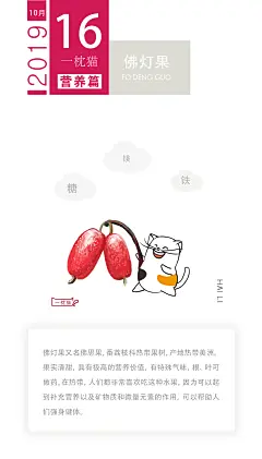 每日练习，设计，插画，猫，佛灯果