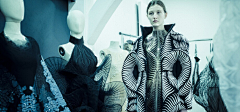 布拉希采集到iris van herpen