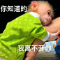 你们喜欢的吗喽来了