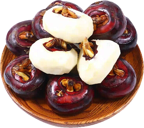 马蹄，茨菇，免扣素材，png