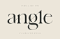 angle - unique & chic font : angle is also included full set of:uppercase and lowercase lettersmultilingual charactersnumeralspunctuationWhat will you get?angle.otfangle.ttfangle.woff