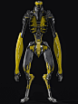 彬孺忍-Andres Rios-585