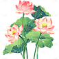 二十四节气小满通用儿童插画麦穗人物元素素材