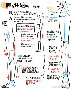 Umitsuki采集到教程