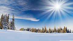 Sunny太平洋采集到雪地风景