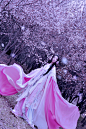 【锦衣满糖】古装cos服粉白牡丹古风cosplay祸国姜沉鱼华胥引君拂-淘宝网