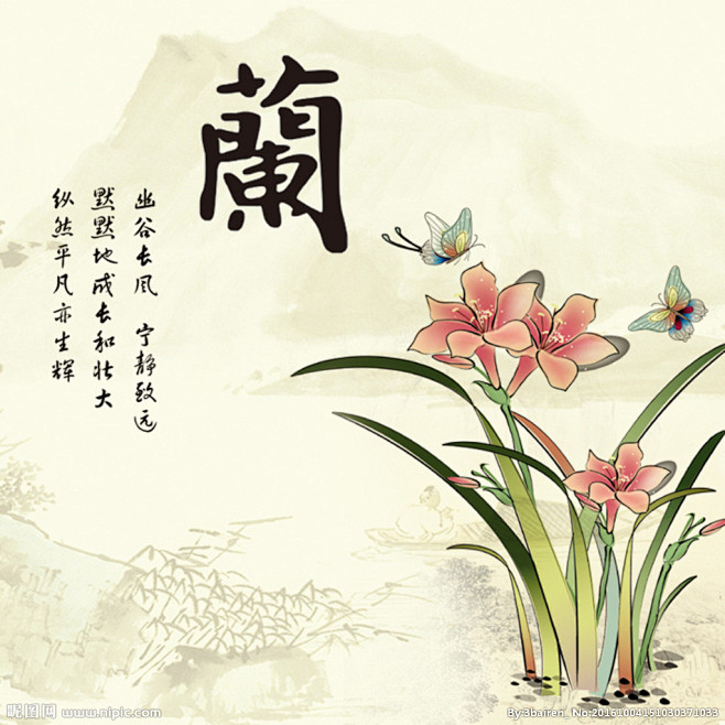 兰花