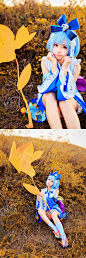 阴阳师cos 萤草 丹枫秋意