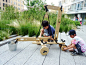 Cas Holman High Line Childrens Workyard Kit