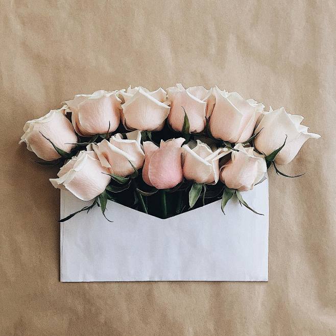 #花#<a class="text-me...
