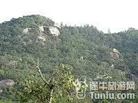 厦门大学：早就知道厦门大学是中国最美的大学，都说厦门大学是谈恋爱的胜地，走进厦门...