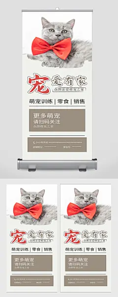 猫咪宠物馆狗狗蓝猫宠物店宣传展架海报
