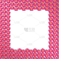 花图标框架与白色文本空间
