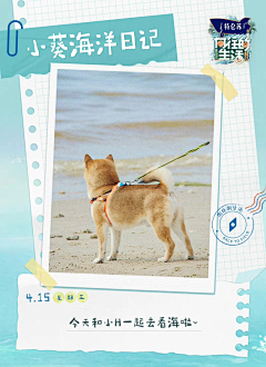 湖西路16号采集到综艺包装