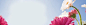 花朵背景高清素材 唯美淘宝海报背景图片 天猫海报背景 女装海报 店招背景 春天 风景 背景 设计图片 免费下载