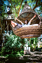 Kinki, Pai Treehouse Resort‎, 90 Moo 2 Maeyaenpongrone Road, Pai, Mae Hong Son, Thailand, Feb 3, 2014