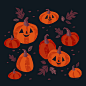 Pumpkins : Pumpkins patch illustration 