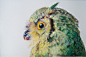 Colored Owl Drawings by John Pusateri drawing birds 