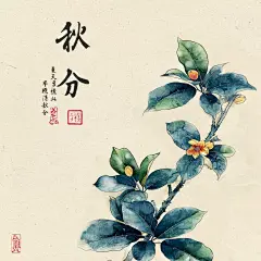 二十四节气装饰画中医养身馆挂画方形组合壁画中国风手绘植物国画-淘宝网