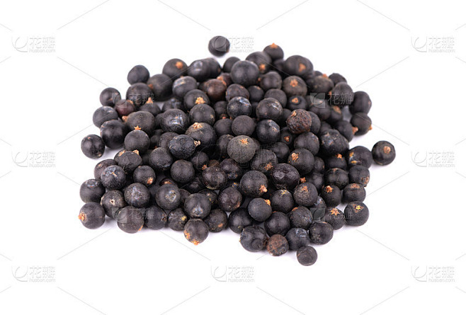 干杜松子，孤立在白色背景。常见的Juniper水果。