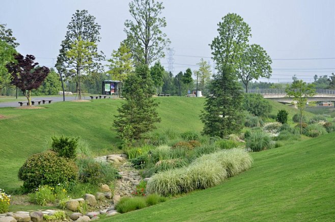 14:51:00景观草坡及旱溪landscape——种植设计问荆--同采自tujiajia