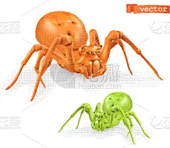三维图形,绿色,蜘蛛,橙子,明亮,白色背景,有毒生物体,有毒物质,性格