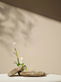 素材图分享·场景/植物/治愈系背景 - 小红书
